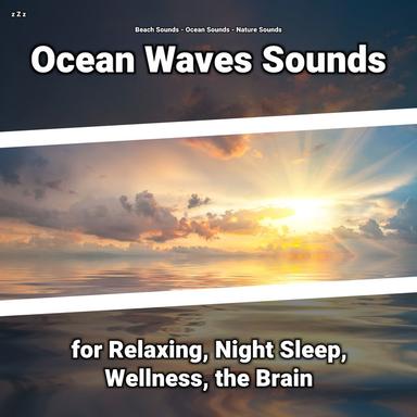 Tranquil Sounds