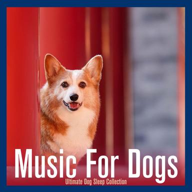 Relaxing Dog Sounds