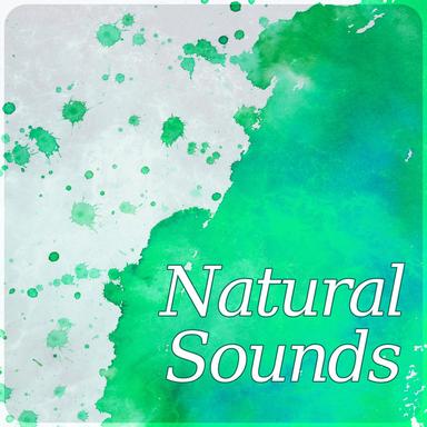 Yoga Relaxation Music