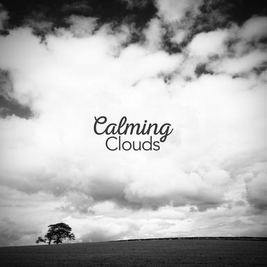 Pleasant Rain