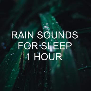 Rain Sounds for Sleeping 8 Hours