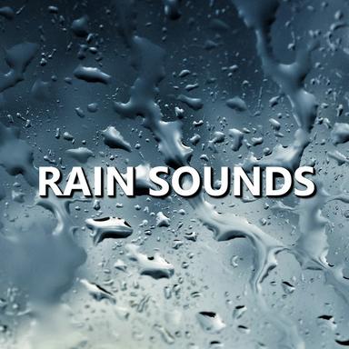 Tranquil Night Rain Sounds