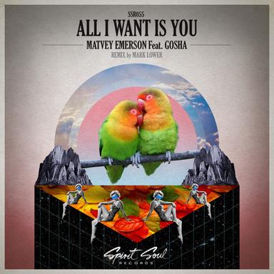 All I Want Is You - Mark Lower Day Vision Remix