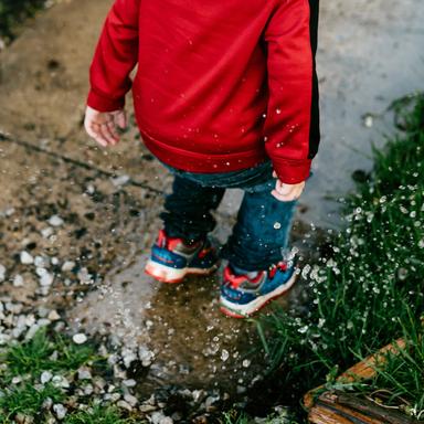 Gentle Rain on Pavement