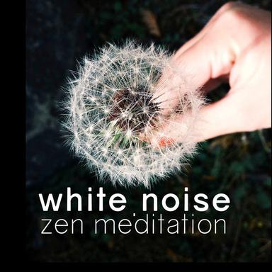 White Noise: Brown Noise Rest