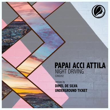 Night Driving - Dimel De Silva Remix