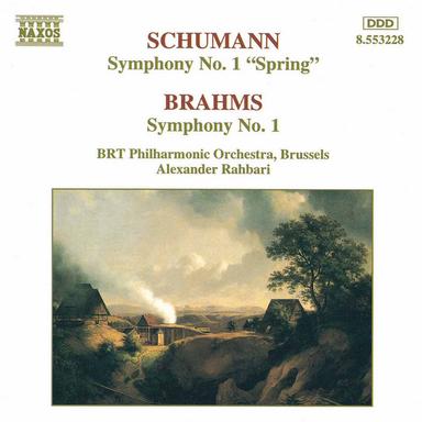 Symphony No. 1 in C Minor, Op. 68: I. Un poco sostenuto - Allegro