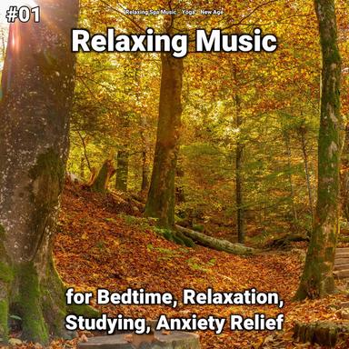 Music During Sleep