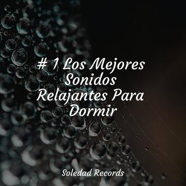Florecimiento Del Amor
