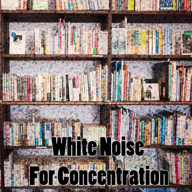 White Noise Waves