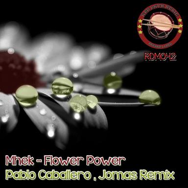 Flower Power - Original Mix