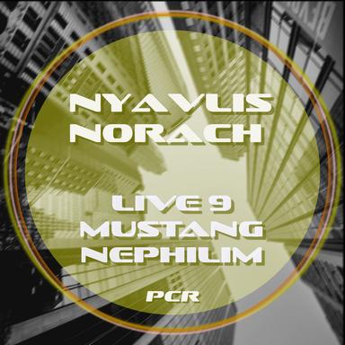 NN
