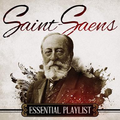 Piano Concerto No.2 in G minor, Op.22 : 1. Andante sostenuto