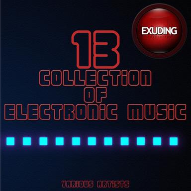 Collection Of Electronic Music, Vol. 13