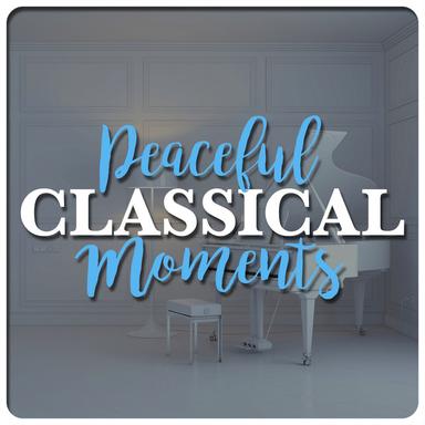 Cello Suite No. 6 in D Major, BWV 1012: II. Allemande