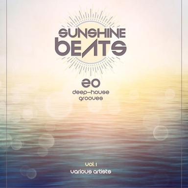 I Turn and I See Light - Original Mix