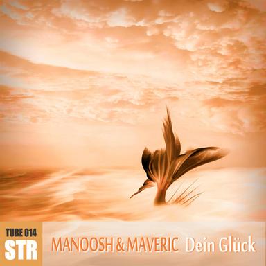 Dein Glück - Maveric's Fly Away Dub Mix