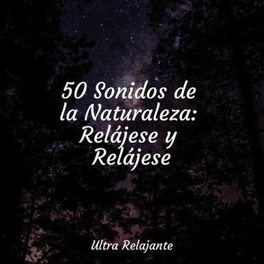 Amanecer