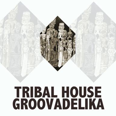 Zomba Sinth - Tribal Mix