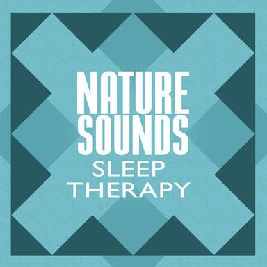 Bird Sounds
