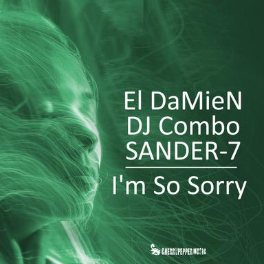 I'm So Sorry - Extended Mix