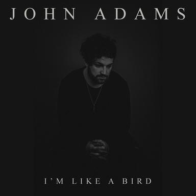 I'm Like a Bird