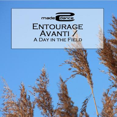 A Day In The Field