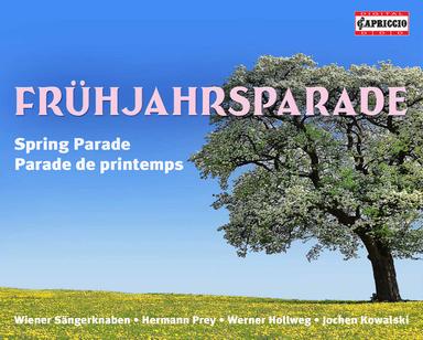 6 Stucke, Op. 32: No. 3, Rustle of Spring