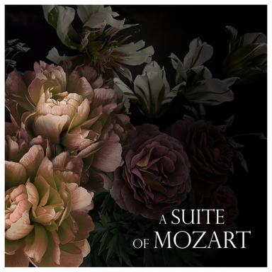 Sonata for Piano and Violin in E Minor, K. 304: II. Tempo di minuetto
