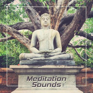 Mindfulness