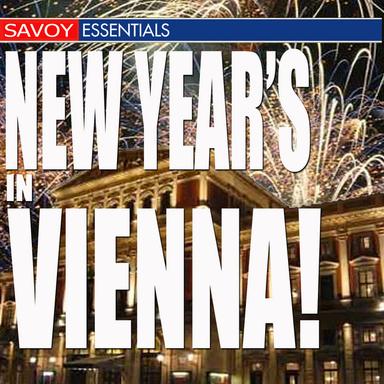 New Year's in Vienna