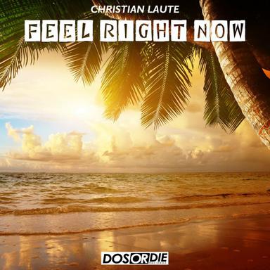 Feel Right Now - Radio Edit