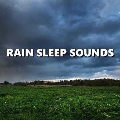 Brisk Afternoon Pouring Rain Sounds