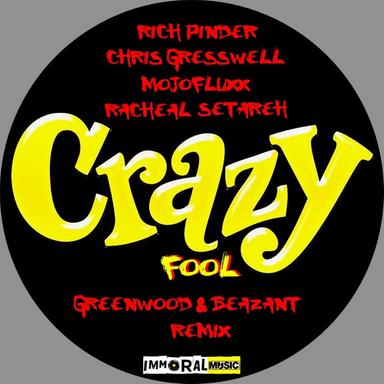 Crazy Fool Remix - Greenwood & Beazant Remix