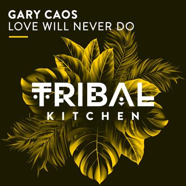 Love Will Never Do