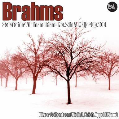 Sonata for Violin and Piano No.2 in A Major, Op.100: II. Andante tranquillo