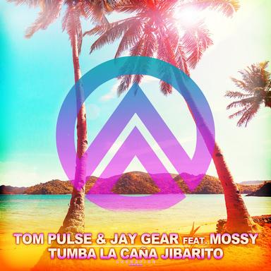 Tumba la Caña Jibarito - DJ C. R. Easy Edit