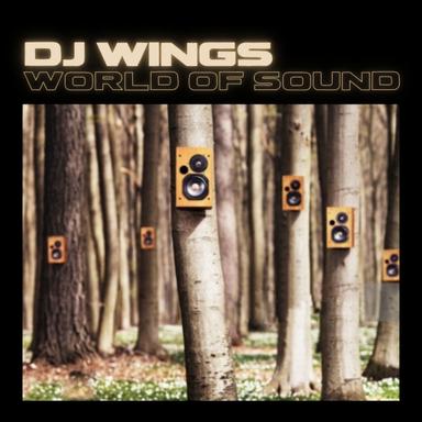 The World Of Sound