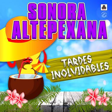 Si Te Han Querido Más Que Yo