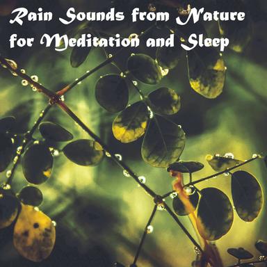 Ambient White Noise of Nature