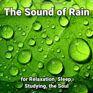 Relaxing Ambient Background Noise
