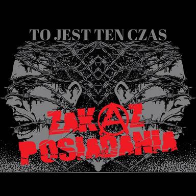 ZP
