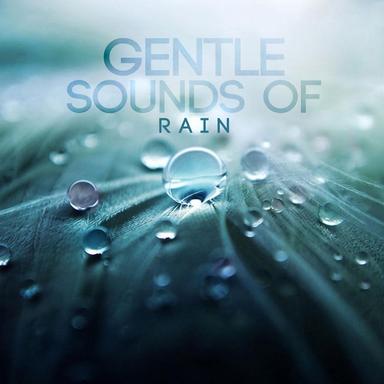 Rain on Canvas