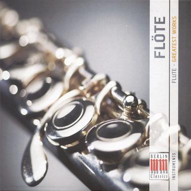 Flute Sonata, Op. 164: I. Allegro malinconico