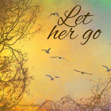 Let Her Go - Radio Version