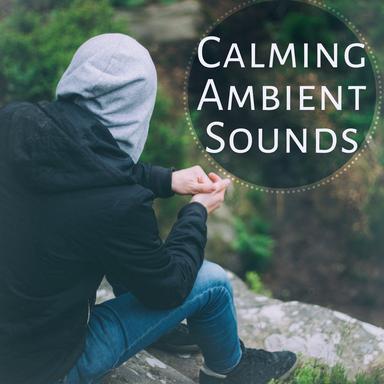 Sounds of Water