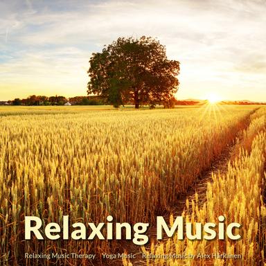 Magnificent Meditation Music