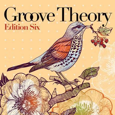 Ombre Dans La Lumière - Groove Salvation Remix