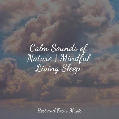 Ambient Peace