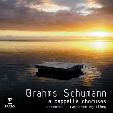 Schumann: Romanzen und Balladen, Heft I, Op. 67: No. 4, Ungewitter